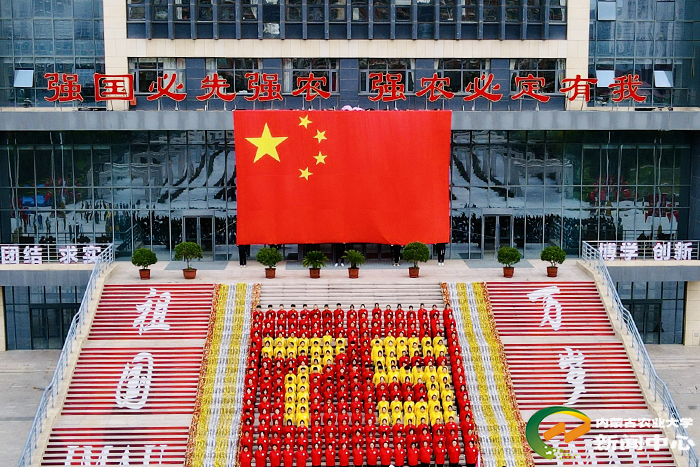 6DA14